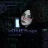 v0idES.sys